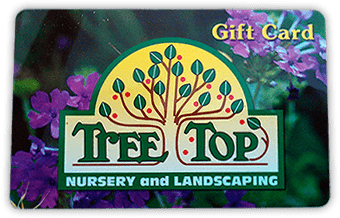 Tree Top Gift Card